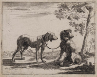 TvB G 1195
<br/>
Twee honden met riem en halsband
<br/>
<em>Hillegaert, Paulus van (1595-1658)</em>